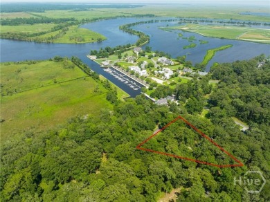 Discover one of the most desirable homesites within the coveted on The Ford Field and River Club  in Georgia - for sale on GolfHomes.com, golf home, golf lot