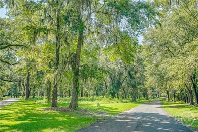 Discover one of the most desirable homesites within the coveted on The Ford Field and River Club  in Georgia - for sale on GolfHomes.com, golf home, golf lot