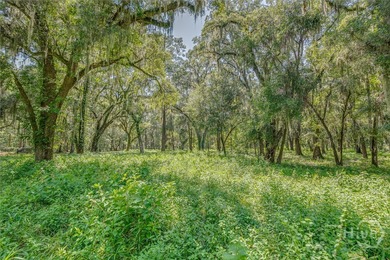 Discover one of the most desirable homesites within the coveted on The Ford Field and River Club  in Georgia - for sale on GolfHomes.com, golf home, golf lot