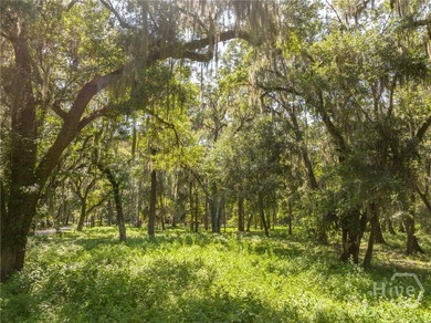 Discover one of the most desirable homesites within the coveted on The Ford Field and River Club  in Georgia - for sale on GolfHomes.com, golf home, golf lot