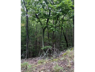 This beautiful 0.88-acre residential lot, nestled in a peaceful on The Highlands Course at Lake Arrowhead in Georgia - for sale on GolfHomes.com, golf home, golf lot