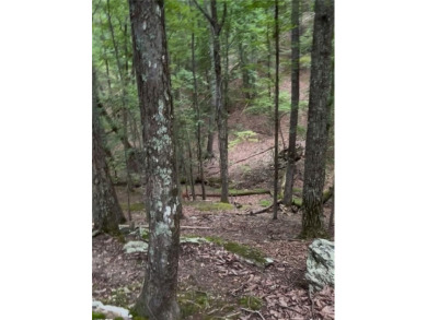 This beautiful 0.88-acre residential lot, nestled in a peaceful on The Highlands Course at Lake Arrowhead in Georgia - for sale on GolfHomes.com, golf home, golf lot