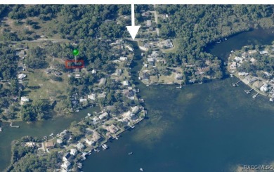 Rare Deeded Access to Kings Bay, Crystal River: Short Term on Plantation Inn and Golf Resort  in Florida - for sale on GolfHomes.com, golf home, golf lot