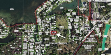 Rare Deeded Access to Kings Bay, Crystal River: Short Term on Plantation Inn and Golf Resort  in Florida - for sale on GolfHomes.com, golf home, golf lot