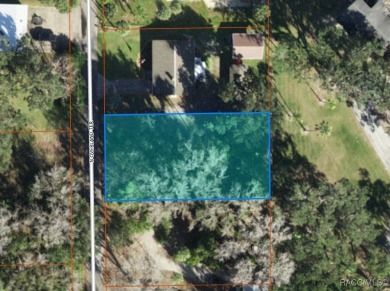 Rare Deeded Access to Kings Bay, Crystal River: Short Term on Plantation Inn and Golf Resort  in Florida - for sale on GolfHomes.com, golf home, golf lot