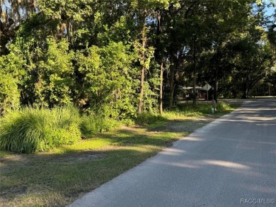 Rare Deeded Access to Kings Bay, Crystal River: Short Term on Plantation Inn and Golf Resort  in Florida - for sale on GolfHomes.com, golf home, golf lot