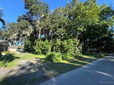 Rare Deeded Access to Kings Bay, Crystal River: Short Term on Plantation Inn and Golf Resort  in Florida - for sale on GolfHomes.com, golf home, golf lot