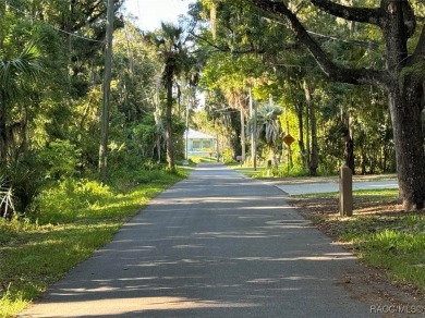 Rare Deeded Access to Kings Bay, Crystal River: Short Term on Plantation Inn and Golf Resort  in Florida - for sale on GolfHomes.com, golf home, golf lot