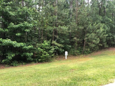If you are looking for a Homesite in a Golf/Equestrian community on Mount Vintage Plantation and Golf Club  in South Carolina - for sale on GolfHomes.com, golf home, golf lot