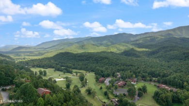 Discover a proven income producing property in the heart of on  in Tennessee - for sale on GolfHomes.com, golf home, golf lot
