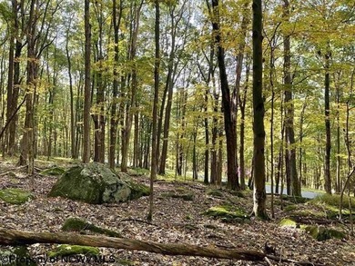 Own your own slice of paradise inside the gated community of on Alpine Lake Resort in West Virginia - for sale on GolfHomes.com, golf home, golf lot