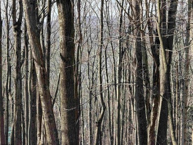 Own your own slice of paradise inside the gated community of on Alpine Lake Resort in West Virginia - for sale on GolfHomes.com, golf home, golf lot