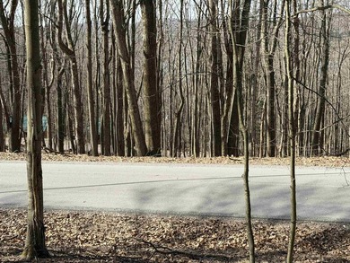 Own your own slice of paradise inside the gated community of on Alpine Lake Resort in West Virginia - for sale on GolfHomes.com, golf home, golf lot