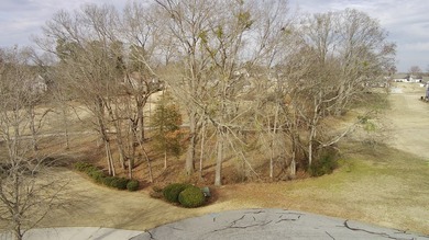 Build your dream home on this nearly half-acre lot in the highly on The Links At Stoney Point in South Carolina - for sale on GolfHomes.com, golf home, golf lot