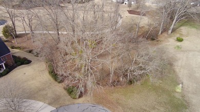 Build your dream home on this nearly half-acre lot in the highly on The Links At Stoney Point in South Carolina - for sale on GolfHomes.com, golf home, golf lot