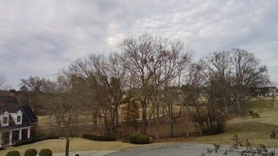 Build your dream home on this nearly half-acre lot in the highly on The Links At Stoney Point in South Carolina - for sale on GolfHomes.com, golf home, golf lot