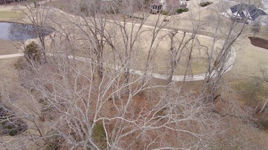 Build your dream home on this nearly half-acre lot in the highly on The Links At Stoney Point in South Carolina - for sale on GolfHomes.com, golf home, golf lot