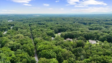 Looking for extra space to build or invest? These two on Lake Tansi Village Country Club in Tennessee - for sale on GolfHomes.com, golf home, golf lot