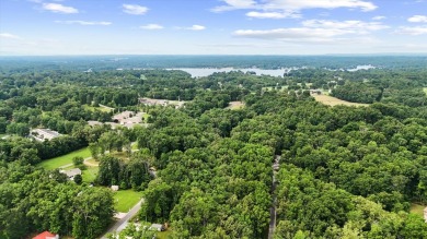 Looking for extra space to build or invest? These two on Lake Tansi Village Country Club in Tennessee - for sale on GolfHomes.com, golf home, golf lot