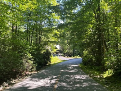 Welcome to your dream mountain escape in the gorgeous Holly on Sapphire National Golf Club in North Carolina - for sale on GolfHomes.com, golf home, golf lot