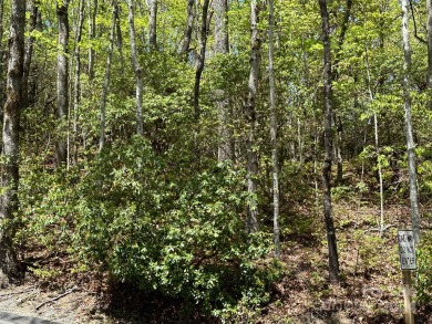 Excellent lot for your next build project. This lot is ideal for on Connestee Falls Golf Club in North Carolina - for sale on GolfHomes.com, golf home, golf lot