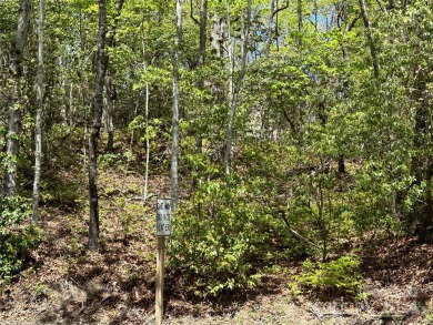 Excellent lot for your next build project. This lot is ideal for on Connestee Falls Golf Club in North Carolina - for sale on GolfHomes.com, golf home, golf lot