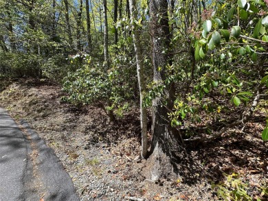 Excellent lot for your next build project. This lot is ideal for on Connestee Falls Golf Club in North Carolina - for sale on GolfHomes.com, golf home, golf lot