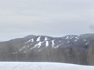 Time to start living the dream with your very own getaway in on Hermitage Club Golf Course in Vermont - for sale on GolfHomes.com, golf home, golf lot
