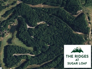 Golf course and wooded homesites are available at The Ridges at on Manitou Passage Golf Club in Michigan - for sale on GolfHomes.com, golf home, golf lot