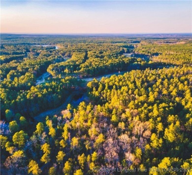 Outdoor enthusiasts and equestrian playground!  These gorgeous on Deercroft Golf and Country Club in North Carolina - for sale on GolfHomes.com, golf home, golf lot