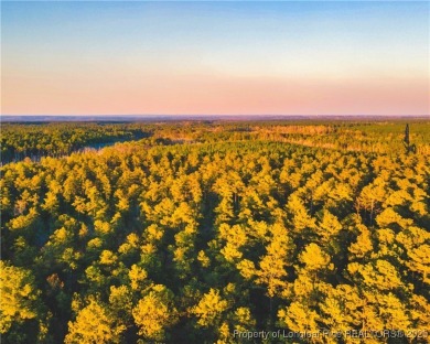 Outdoor enthusiasts and equestrian playground! These gorgeous 5+ on Deercroft Golf and Country Club in North Carolina - for sale on GolfHomes.com, golf home, golf lot