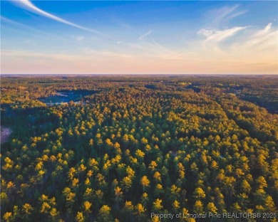 Outdoor enthusiasts and equestrian playground! This gorgeous 8+ on Deercroft Golf and Country Club in North Carolina - for sale on GolfHomes.com, golf home, golf lot