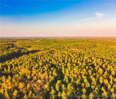 Outdoor enthusiasts and equestrian playground! This gorgeous 7+ on Deercroft Golf and Country Club in North Carolina - for sale on GolfHomes.com, golf home, golf lot