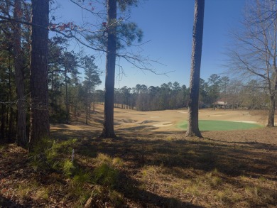 Golf Course Paradise Awaits!

Build your dream home on this on Monticello Golf Club At Savannah Lakes in South Carolina - for sale on GolfHomes.com, golf home, golf lot