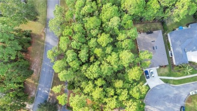 Don't miss this incredible opportunity to build your dream home on The Club At Osprey Cove in Georgia - for sale on GolfHomes.com, golf home, golf lot