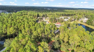 Don't miss this incredible opportunity to build your dream home on The Club At Osprey Cove in Georgia - for sale on GolfHomes.com, golf home, golf lot