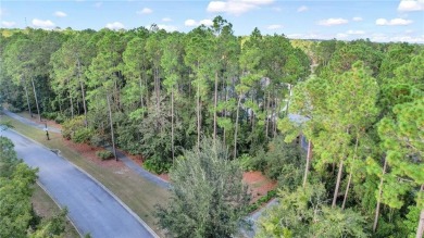 Don't miss this incredible opportunity to build your dream home on The Club At Osprey Cove in Georgia - for sale on GolfHomes.com, golf home, golf lot