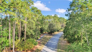 Don't miss this incredible opportunity to build your dream home on The Club At Osprey Cove in Georgia - for sale on GolfHomes.com, golf home, golf lot