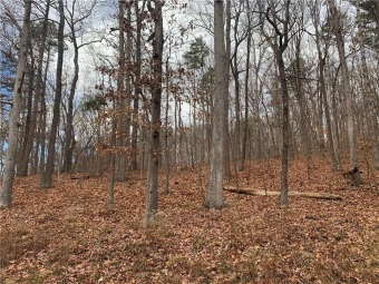 A beautiful corner lot would make a great location for a future on The Trail At Chickasaw Pointe in South Carolina - for sale on GolfHomes.com, golf home, golf lot