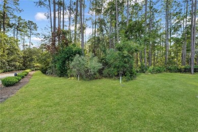 Don't miss this incredible opportunity to build your dream home on The Club At Osprey Cove in Georgia - for sale on GolfHomes.com, golf home, golf lot