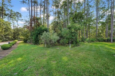 Don't miss this incredible opportunity to build your dream home on The Club At Osprey Cove in Georgia - for sale on GolfHomes.com, golf home, golf lot