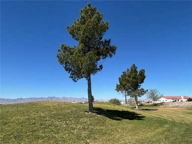 With your backyard overlooking the golf course, this 1/4 acre on Los Lagos Golf Club in Arizona - for sale on GolfHomes.com, golf home, golf lot
