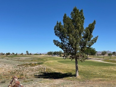 With your backyard overlooking the golf course, this 1/4 acre on Los Lagos Golf Club in Arizona - for sale on GolfHomes.com, golf home, golf lot