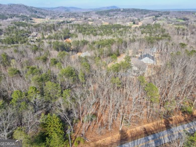 Beautiful, gentle sloping, wooded, buildable lot with possible on The Orchard Golf and Country Club in Georgia - for sale on GolfHomes.com, golf home, golf lot