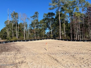 New Construction in Mill Creek Cove, just 15 Minutes from the on Carolina National Golf Club in North Carolina - for sale on GolfHomes.com, golf home, golf lot