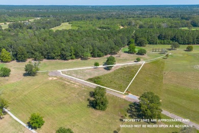 Golf Course Lot Now Available! Over 1 acre lot on a cul-de-sac on Okatoma Golf Course in Mississippi - for sale on GolfHomes.com, golf home, golf lot