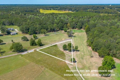 Golf Course Lot Now Available! Over 1 acre lot on a cul-de-sac on Okatoma Golf Course in Mississippi - for sale on GolfHomes.com, golf home, golf lot