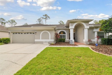 DRY AND DAMAGE FREE AFTER HURRICANES MILTON AND HELENE!  Settle on East Lake Woodlands Country Club in Florida - for sale on GolfHomes.com, golf home, golf lot