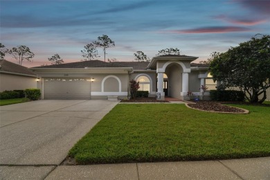 DRY AND DAMAGE FREE AFTER HURRICANES MILTON AND HELENE!  Settle on East Lake Woodlands Country Club in Florida - for sale on GolfHomes.com, golf home, golf lot