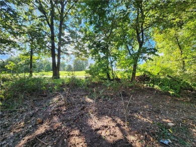 Golfer's Paradise! Build your beautiful dream home on this on  in Arkansas - for sale on GolfHomes.com, golf home, golf lot